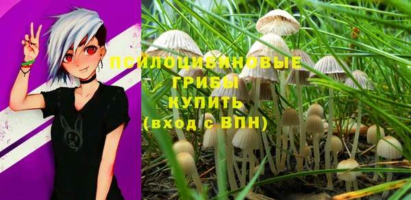 mix Магас