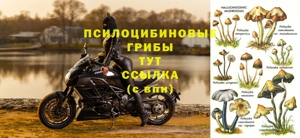 гидропоника Магадан