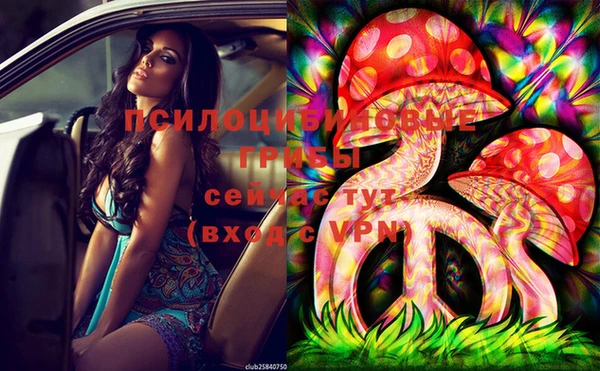 mix Магас