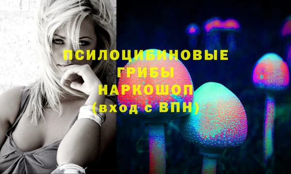 гидропоника Магадан
