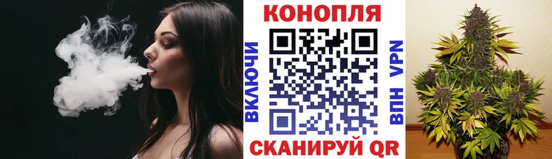 Бошки Шишки THC 21%  blacksprut сайт  маркетплейс Telegram  где продают наркотики  Шилка 
